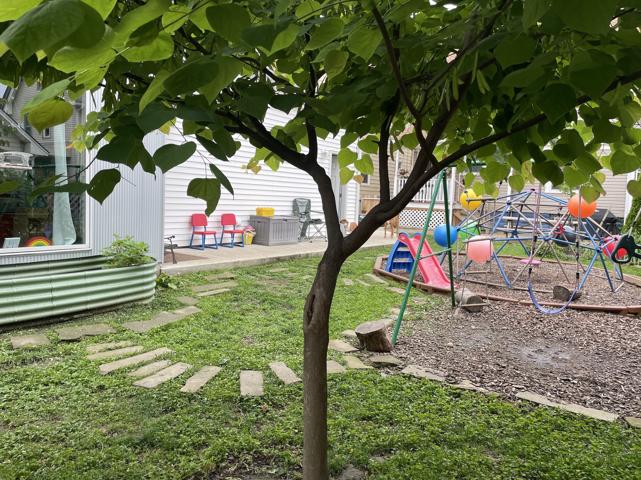 Photograph of LLM playground area, foregrounded by young redbud tree.